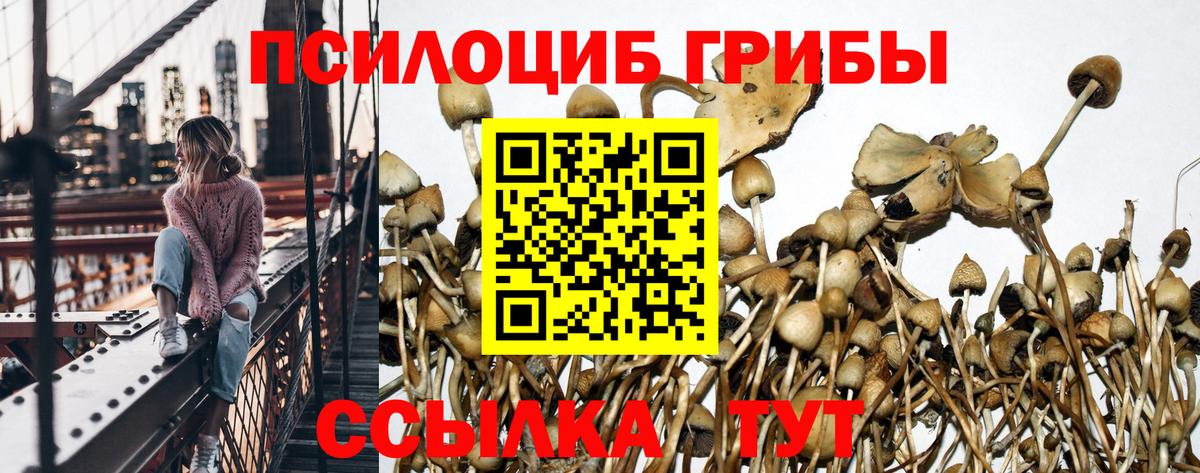Корсаков  МАРИХУАНА  Вход с VPN  APVP СК кристаллы  Меф МЯУ МЯУ   ГАШ  Кокаин 